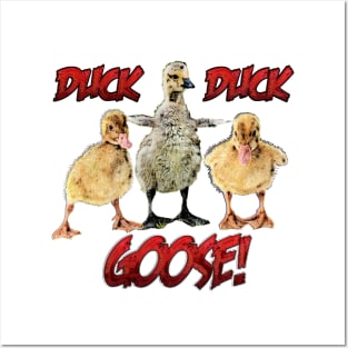 Duck, Duck, GOOSE! Posters and Art